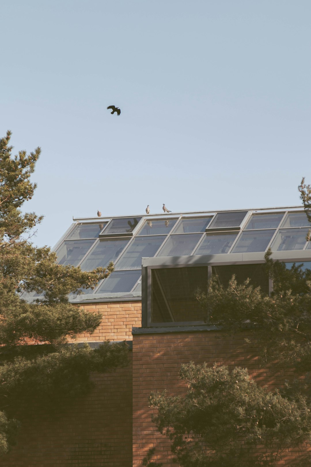 Eco-Luxury Residence